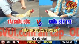 Trận 29 CPC5 28/1/2026 - Anh Tài Châu Đốc Gặp Anh Xuân Bến Tre