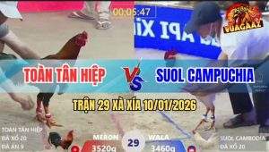 Trận 29 Xà Xía 10/1/2026 - Úa Đá Điều Rơi Tự Do Sau Cú Nhẩy Đầu Tiên