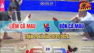 Trận 29 Xà Xía 24/1/2026 - Úa Đâm Toàn Mu Lưng, Điều Ói Chạy Mất Dép