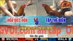 Trận 30 CPC5 28/1/2026 - Chúc Mừng Anh Em Biện C5 Giành Chức Vô Địch