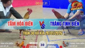 Trận 30 Xà Xía 28/1/2026 - Khét Đâm Cây Cổ Cần Xám Té Nằm Bất Động