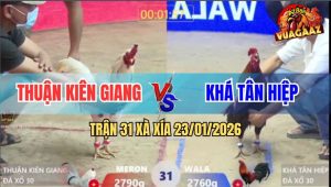 Trận 31 Xà Xía 23/1/2026 - Điều Cọp Anh Khá Dỡ Giò Là Có Kết Quả