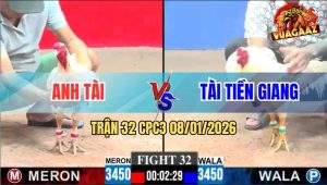 Trận 32 CPC3 8/1/2026 - Bướm Anh Tài Đâm Cựa Quá Dính, Úa Chạy Mất Dép