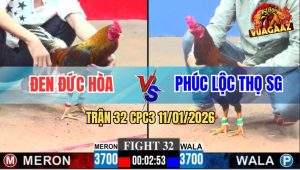 Trận 32 CPC3 11/1/2026 - Gà Anh Phúc Lộc Thọ Có Chân Phản Ngay Ông Địa