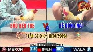 Trận 33 CPC3 11/1/2026 - Anh Bảo Và Anh Bé Không Phân Thắng Bại