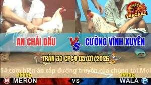 Trận 33 CPC4 5/1/2026 - Bướm Xanh Siết Đỏ Gãy Giò Chỉ Trong 1 Nốt Nhạc