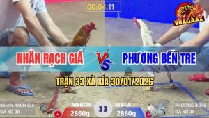 Trận 33 Xà Xía 30/1/2026 - Điều Bông Anh Nhân Đâm Cựa Như Sam Xít