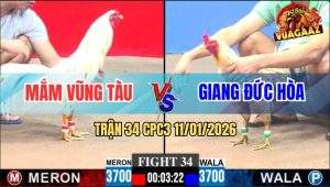 Trận 34 CPC3 11/1/2026 - Bướm Chân Xanh Vả Sấp Mặt Bướm Chân Vàng