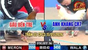 Trận 36 CPC3 11/1/2026 - Gà Úa Nuôi Tang, Que Phản Lại Chân Ói Bưng Ra