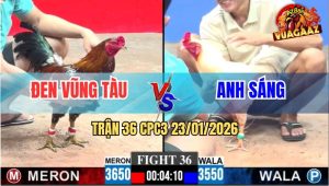 Trận 36 CPC3 23/1/2026 - Úa Đá Bông Lấy Tiền Dục Sông Chỉ Sau 3 Chân