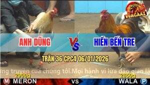 Trận 36 CPC4 6/1/2026 - Chuối Anh Dũng Đâm Khét Gục Ngã Trong Biễn Máu