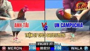 Trận 37 CPC3 4/1/2026 - Điều Xanh Đá Cựa Quá Nghiệt, Đỏ Không Cửa Bật