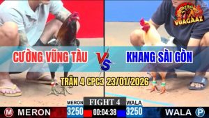 Trận 4 CPC3 23/1/2026 - Điều Mặt Râu Đâm Tịch Bướm Té Xỉu Ngang