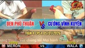 Trận 4 CPC4 5/1/2026 - Bướm Anh Cường Chạy Xe Đá Gà Vàng Bể Nợ