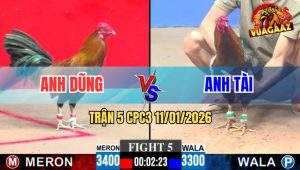 Trận 5 CPC3 11/1/2026 - Một Chân Quyết Định Kéo Lúa Về Bờ Thành Công