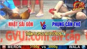 Trận 5 CPC5 10/1/2026 - Gà Chuối Anh Phong Xuyên Thủng Tim Gà Khét