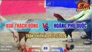 Trận 5 Xà Xía 9/1/2026 - Gà Khét Anh Xua Dập Như Cái Máy Công Nghiệp