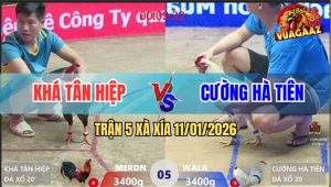 Trận 5 Xà Xía 11/1/2026 - Điều Đâm Cây Lưng Bướm Nằm Liệt Tại Chỗ