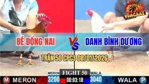 Trận 50 CPC3 8/1/2026 - Que Đâm Lút Kim, Bướm Trào Đờm Hết Cứu