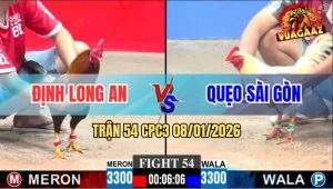 Trận 54 CPC3 8/1/2026 - Bướm May Độ Cuối Ngày Đưa Biện Đi Bình Dương