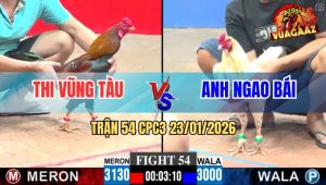 Trận 54 CPC3 23/1/2026 - Bướm Anh Ngao Bái Tái Xuất Bị Đá Gãy Giò