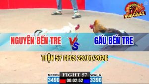 Trận 57 CPC3 23/1/2026 - Gà Bướm Hạ Gà Điều Anh Gấu Trong 1 Nốt Nhạc