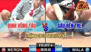 Trận 6 CPC3 4/1/2026 - Gà Que Anh Gấu Ra Đòn Nào Bướm Xỉu Đòn Đó