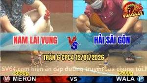 Trận 6 CPC4 12/1/2025 - Khét Đá Chân Nào Úa Chặn Hết Chân Đó