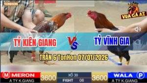 Trận 6 TonHon 7/1/2026 - Điều Anh Tỷ Đá Điều Bông Bể Bóng Đèn Tốc Chạy