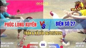 Trận 6 Xà Xía 6/1/2026 - Úa Bao Bồ Bị Xám Son Anh Phúc Đá Nằm Bại Liệt