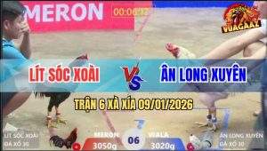 Trận 6 Xà Xía 9/1/2026 - Bướm Ra Cưạ Hiểm, Gà Anh Kiểm Đứng Hết Nổi
