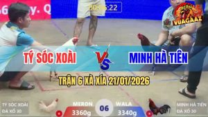 Trận 6 Xà Xía 21/1/2026 - Vô Kính Gà Úa Anh Tý Đá Điều Tắt Điện