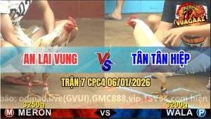 Trận 7 CPC4 6/1/2026 - Bướn Anh An Vô Trong Gồng Nước Khuya Quá Lực