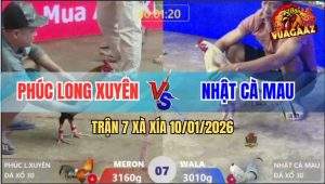 Trận 7 Xà Xía 10/1/2026 - Gà Điều Anh Phúc Chưa Đá Đã Chạy La Làng