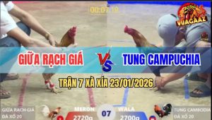 Trận 7 Xà Xía 23/1/2026 - Xám Tung Chân Hiểm Camelo Chạy Mất Dép