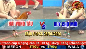 Trận 8 CPC5 28/1/2026 - Điều Anh Hai Đá Úa Chợ Mới Lên Bờ Xuống Ruộng