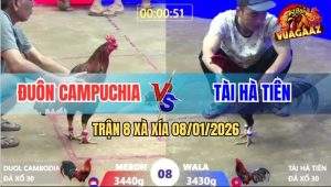Trận 8 Xà Xía 8/1/2026 - Đại Chiến Giữa Nu Mặt Dằm Và Anh Đuôn CPC