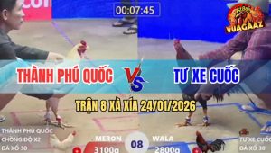 Trận 8 Xà Xía 24/1/2026 - Que Gãy Giò, Anh Kiểm Đưa Dép Làm Chân Giả