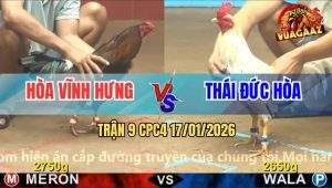 Trận 9 CPC4 17/1/2026 - Điều Anh Hòa Đá Hay Mà Không Có Chân Giết