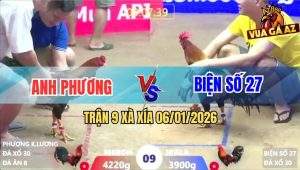 Trận 9 Xà Xía 6/1/2026 - Gà Điều Anh Phương May Độ Có Chân Cứu Chủ
