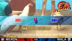 Trận 1 CPC4 03/01/2026