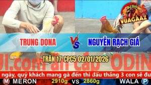 Trận 17 CPC5 02/01/2026