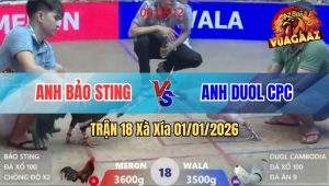 Trận 18 Xà Xía 01/01/2026