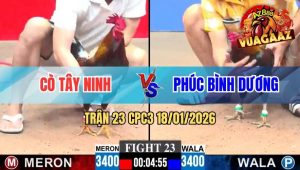 Trận 23 CPC3 18/01/2026