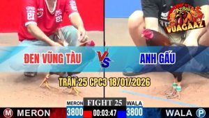 Trận 25 CPC3 18/01/2026