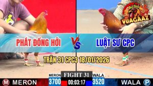 Trận 31 CPC3 18/01/2026