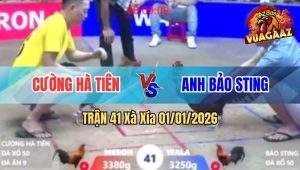 Trận 41 Xà Xía 01/01/2026