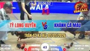 Trận 43 Xà Xía 01/01/2026