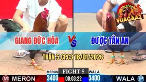 Trận 5 CPC3 18/01/2026