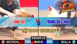 Trận 12 CPC3 15/01/2026